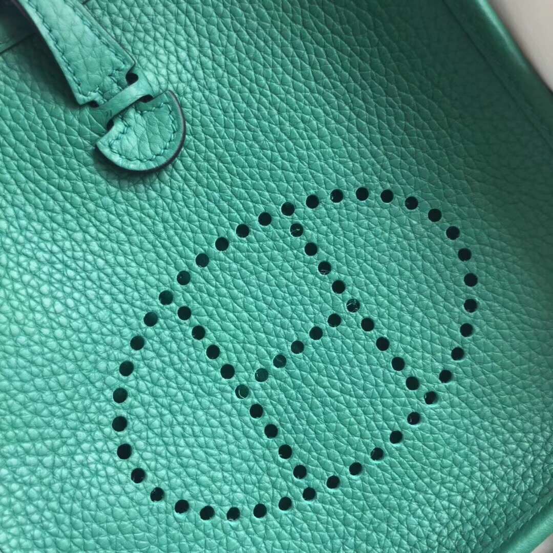 에르메스 미니 에블린16 베르트베르티고 은장 토고가죽